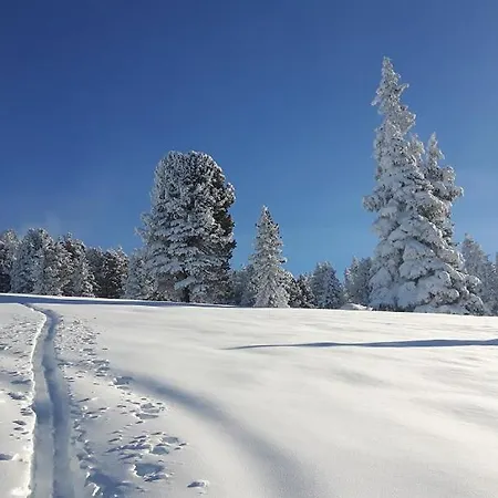 Fewo Lechner Gerlossteinblick Aschau Im Zillertal